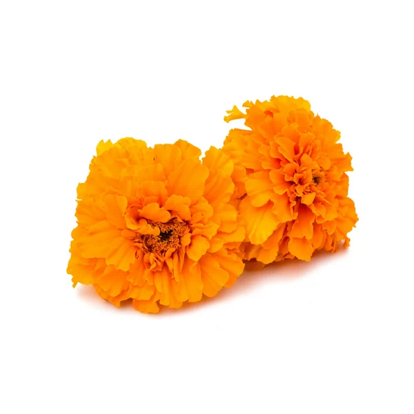 Fresh Orange Marigold (Genda Phool)