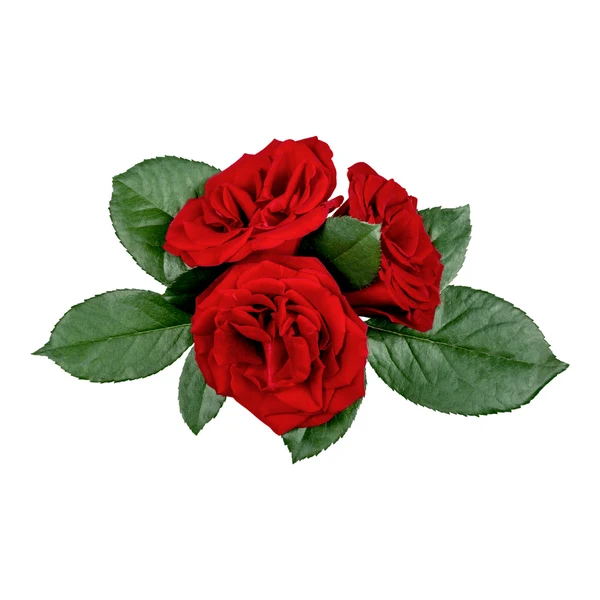 Fresh Small Rose (Gulab Phool)