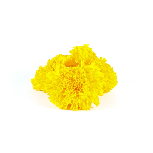 Fresh Yellow Marigold (Genda Phool)